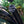 Load image into Gallery viewer, TWIN Trailblazer RG (2016-2021) 4&quot; Stainless Steel Snorkel Kit
