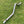 Load image into Gallery viewer, TOYOTA N80 (2015-ON) EXHAUST/OFF ROAD DPF DELETE PIPE
