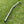 Load image into Gallery viewer, TOYOTA N80 (2015-ON) EXHAUST/OFF ROAD DPF DELETE PIPE
