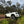 Load image into Gallery viewer, TWIN 2022+ Next Gen RANGER 4&quot; Stainless Steel Snorkel Kit
